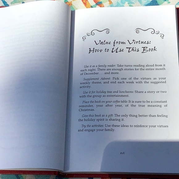 Chicken Soup for the Soul The Book of Christmas Virtures - Picture 4 of 5